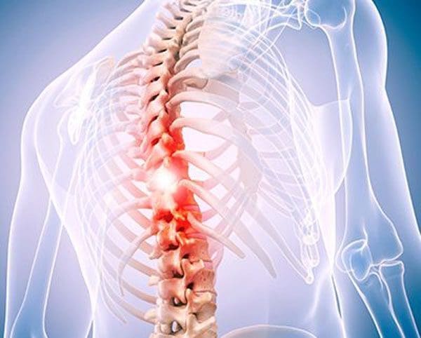 Why Your Mid-Back Feels Tired Before Your Low Back Does
